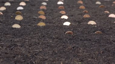 Pennies dikim. Yatırım kavramı