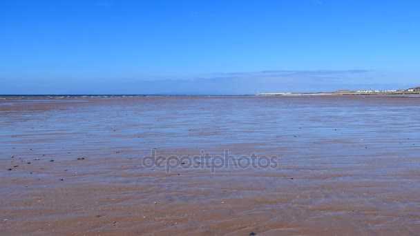 Ebbe. flacher Hintergrund am Meer — Stockvideo