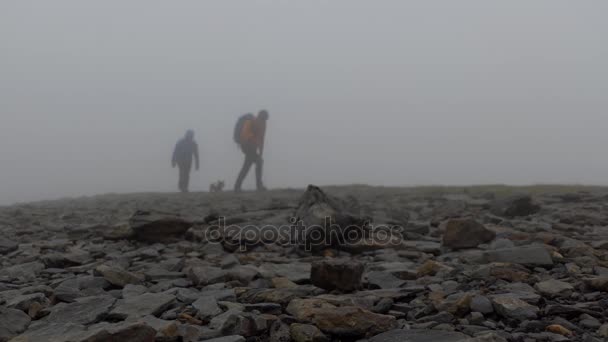 Para z psem na szczycie góry w chmurze — Wideo stockowe