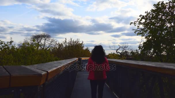 Mujer caminando Treetop Walkway — Vídeo de stock