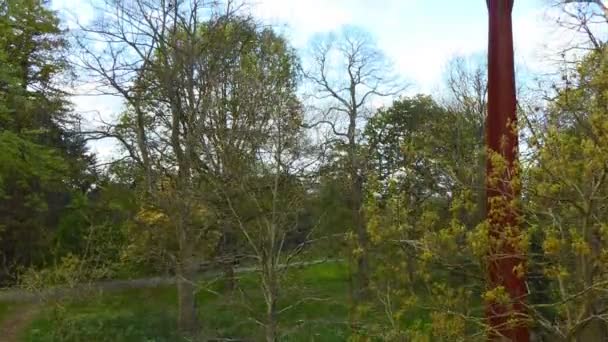 Subiendo en ascensor en los jardines botánicos de Kew — Vídeo de stock