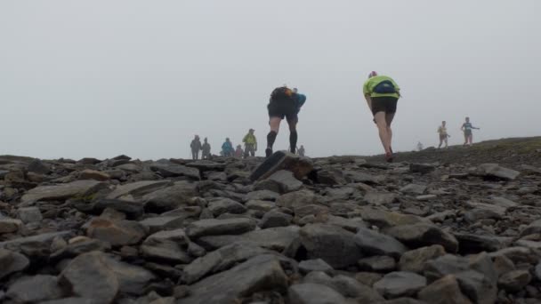 Wandelaars en lopers op de berg — Stockvideo