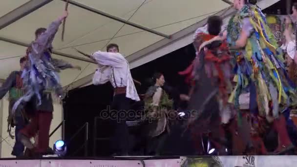 Gruppo di danza tradizionale ungherese spettacolo teatrale — Video Stock