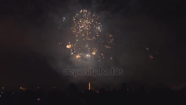 Menschenmenge beim Feuerwerk — Stockvideo