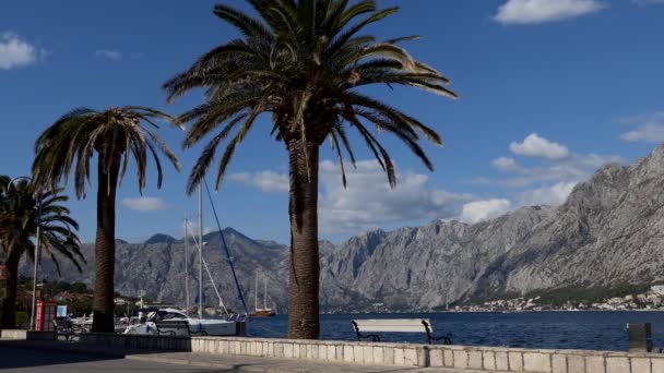 Atemberaubende Landschaft Mit Palmen Und Leeren Bänken Der Strandpromenade Der — Stockvideo