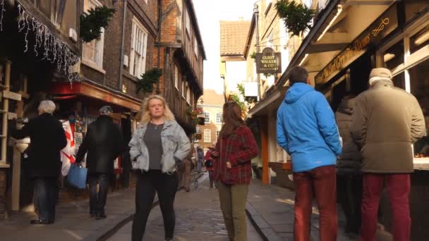 York Inglaterra Reino Unido Noviembre 2017 Gente Camina Lentamente Shambles — Vídeos de Stock