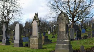 Kış veya sonbahar günü görünüm eski bir İngiliz mezarlığı, Kuru Rüzgar esiyor kameraya, ağır çekim yaprakları