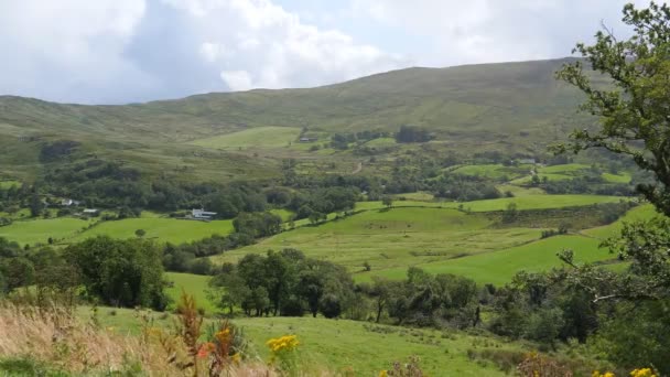 Fantastische Landschaft Der Grafschaft Kerry Irland — Stockvideo