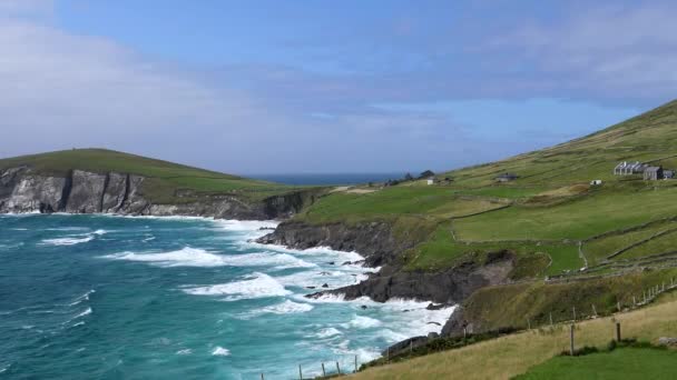 Wybrzeże Irlandii Fantastyczny Krajobraz Portu Dunquin — Wideo stockowe