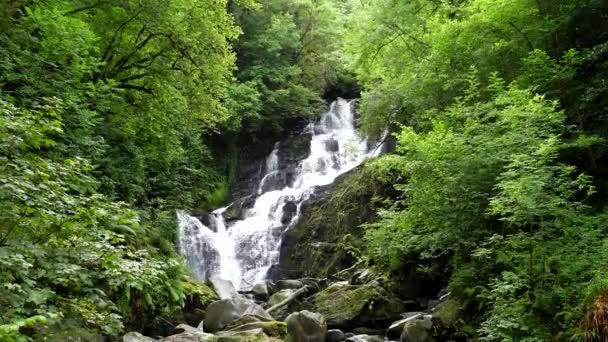 Водопад Торк Графстве Керри Ирландии Наклоняется Вниз — стоковое видео