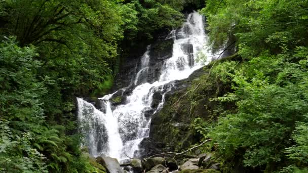 Impresionante Vista Cascada Torc Medio Frondoso Follaje Irlanda Condado Kerry — Vídeos de Stock