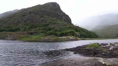 Bulutlu bir günde Killarney yakınlarındaki dağların arasından Long Range Gölü 'nün çekimleri sırasında tavada birkaç damla yağmur yağdı..