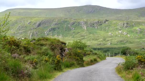 Samochód Widok Przodu Jazdy Dół Black Valley Hrabstwie Kerry Irlandii — Wideo stockowe