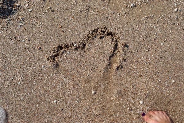 Kresba Srdce Písčitém Břehu Moře — Stock fotografie