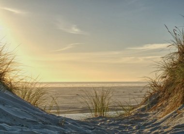 Kıyı sahnede geç öğleden sonra ışık Tasmanya Avustralya