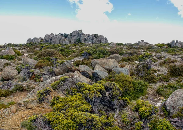 Στην Κορυφή Του Mount Ουέλινγκτον Στην Αυστραλία Ταζμανία — Φωτογραφία Αρχείου