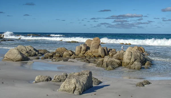 Una Scena Costiera Tasmania Australia Una Giornata Sole — Foto Stock