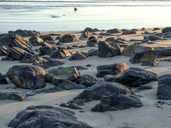 Rocce Sulla Costa Della Tasmania Australia Mattina Presto — Foto Stock