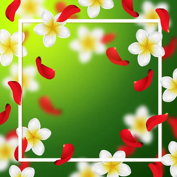 Fondo de verano o primavera con flores tropicales y pétalos de rosa — Vector de stock