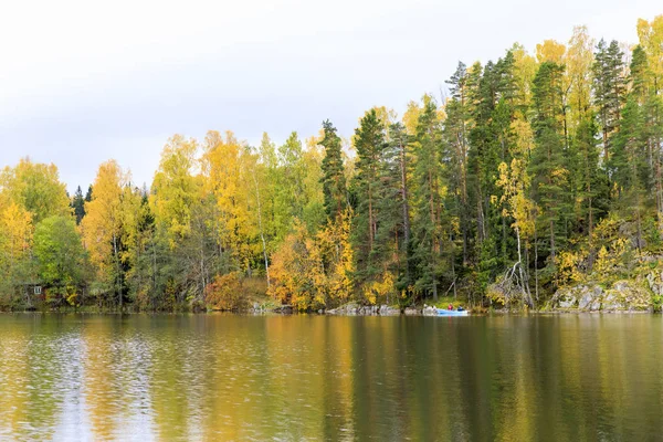 Kleurrijke herfst bos op de oever van het meer — Stockfoto