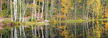 Göl kıyısı, renkli sonbahar orman