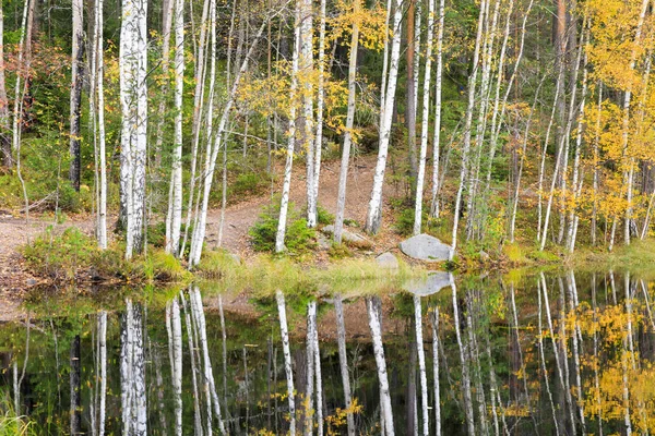 Barevné podzimní les na břehu jezera — Stock fotografie