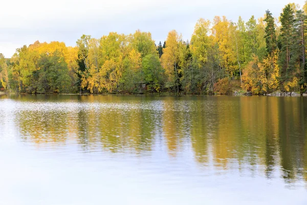 Kleurrijke herfst bos op de oever van het meer — Stockfoto