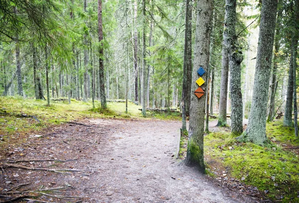 Segnaletica di sentiero su un albero nella foresta — Foto Stock