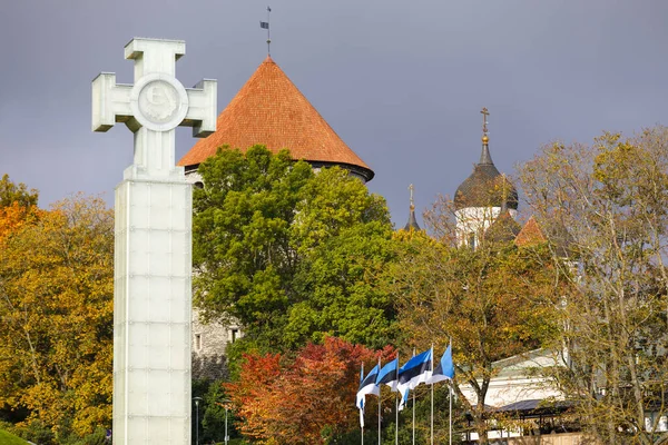 爱沙尼亚塔林的自由女神像 — 图库照片
