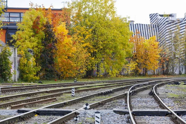 Linie kolejowe i kolorowe drzewa jesienią — Zdjęcie stockowe