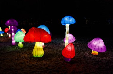 Kağıt gece aydınlatılmış mantar yapıyor.