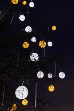Tallinn 'deki çıplak bir ağaçta aydınlatılmış süsler.