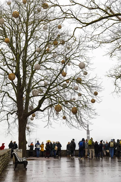 Decorated tree at a viewpoint in Tallinn, Estonia — Stock Photo, Image