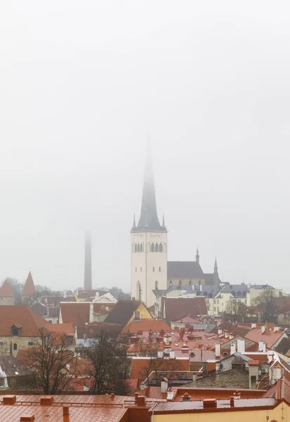 Ciudad vieja de Tallin en una niebla — Foto de Stock
