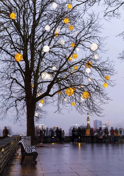 Ozdobione gołe drzewo w Tallinie, Estonia — Zdjęcie stockowe