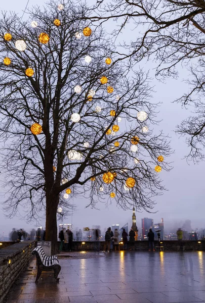 Tallinn, Estonya 'da süslenmiş çıplak ağaç — Stok fotoğraf