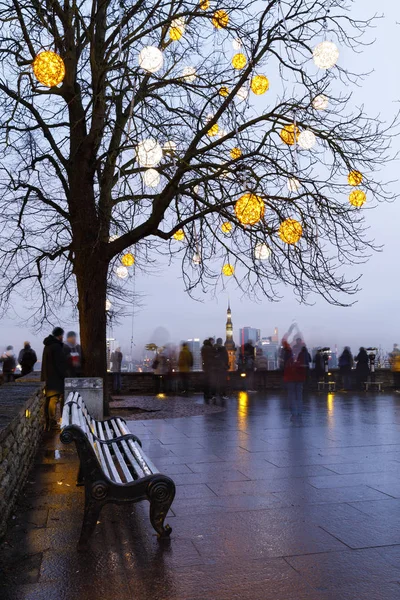 Ozdobione gołe drzewo w Tallinie, Estonia — Zdjęcie stockowe