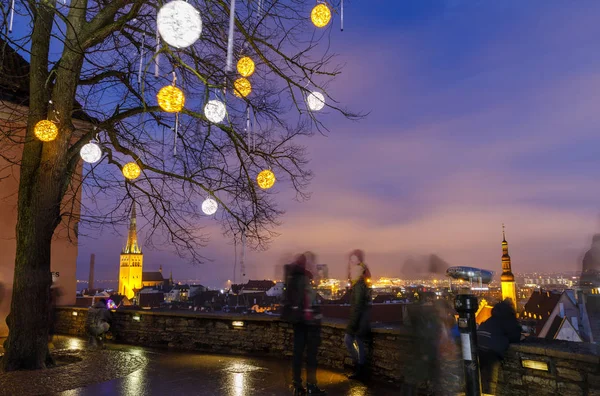 Tallinn, Estonya 'da süslenmiş çıplak ağaç — Stok fotoğraf