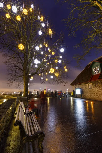 Decorated bare tree in Tallinn, Estonia — Stock Photo, Image