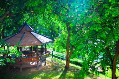 accommodationhouse orman, Tayland