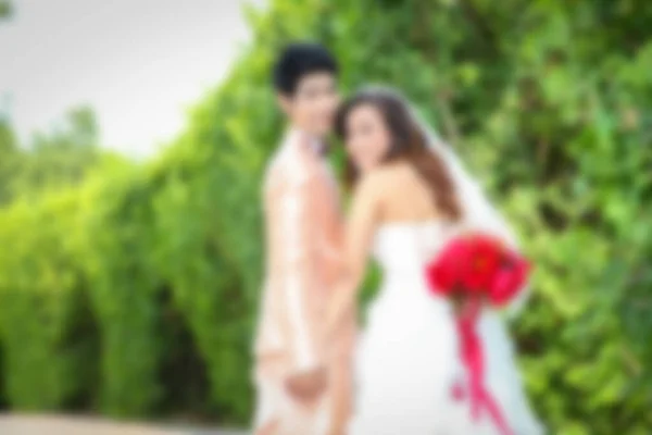 Pre Wedding Sceen Out Door Tree Background Asian Lover Blur — стоковое фото