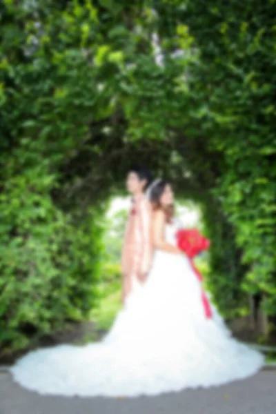 ドアを前結婚式 Sceen ツリー背景等アジアの恋人 事前に結婚式の写真 ぼかしソフト美しい プレ結婚式カップル幸せな男と女 — ストック写真