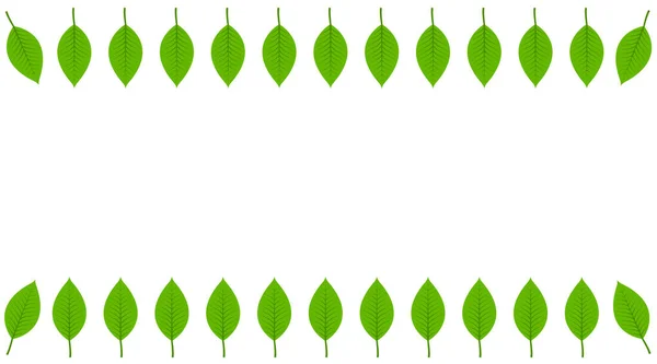 Πράσινο Φύλλα Πλαίσιο Φύση Λευκό Φόντο Απομονωμένο Ιδανικό Για Ευχετήριες — Φωτογραφία Αρχείου