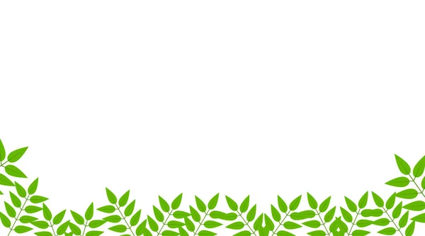 Zielone Liście Ramka Natura Białe Tło Izolowane Idealny Kartki Życzeniami Obrazy Stockowe bez tantiem