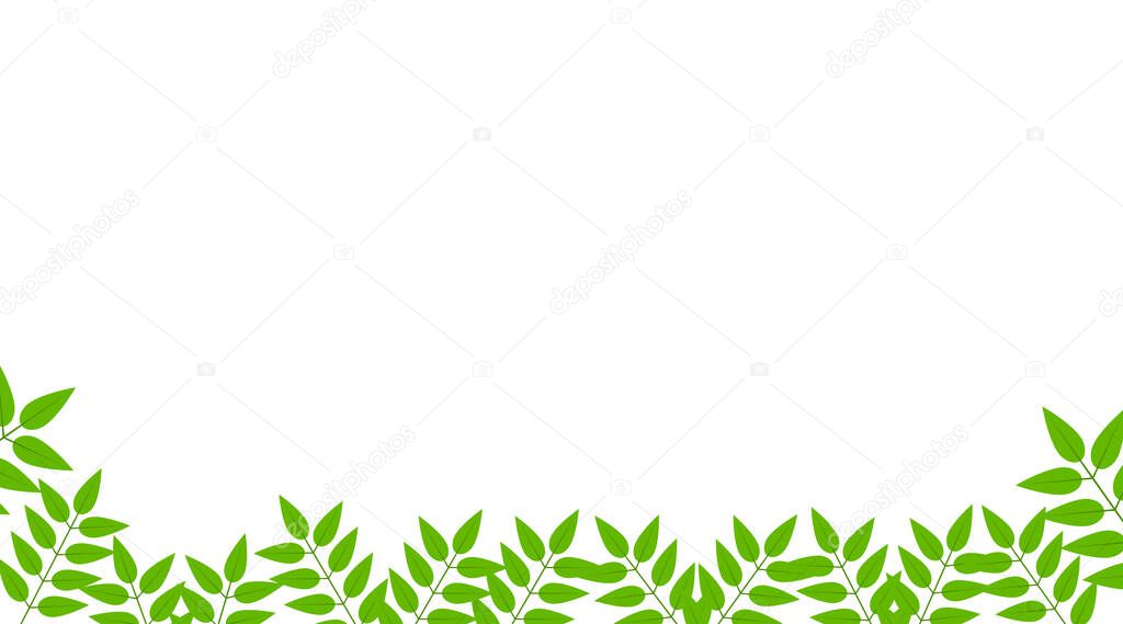 Green leaves frame  Nature White background isolated,  Perfect for greeting and invitation cards,  Perfect for greeting and invitation cards