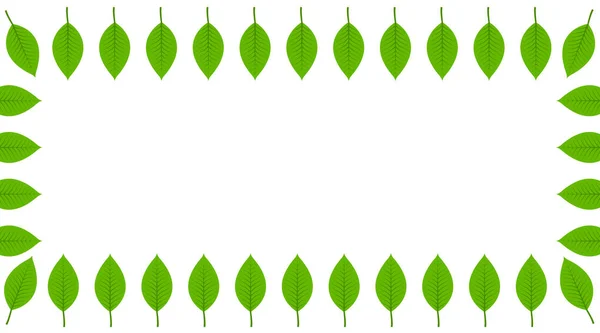 Groene Bladeren Frame Natuur Witte Achtergrond Geïsoleerd Perfect Voor Wens — Stockfoto