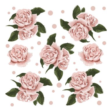 El çizimi şirin illüstrasyon ya da pürüzsüz desenli çay gülleri beyaz arka planda tekstil, kumaş, keten, duvar kağıdı dokusu, tişört tasarımı için benekli.