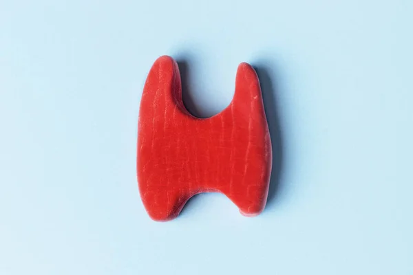 Red thyroid model on a blue background close up, top view. — Stockfoto