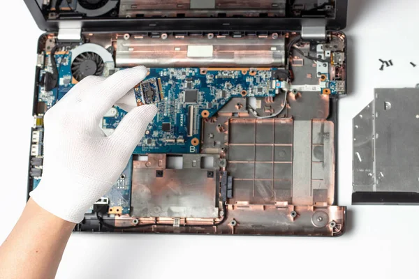 A male hand in a white glove holds a microcircuit on the background of a disassembled laptop, repair concept.