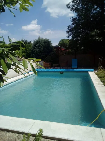 a big swimming pool in a garden at summer